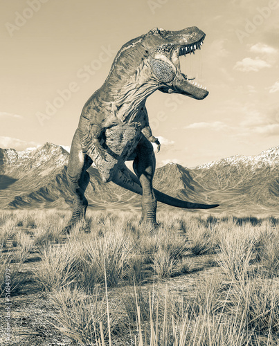 tyrannosaurus rex is angy in plains and mountains © DM7