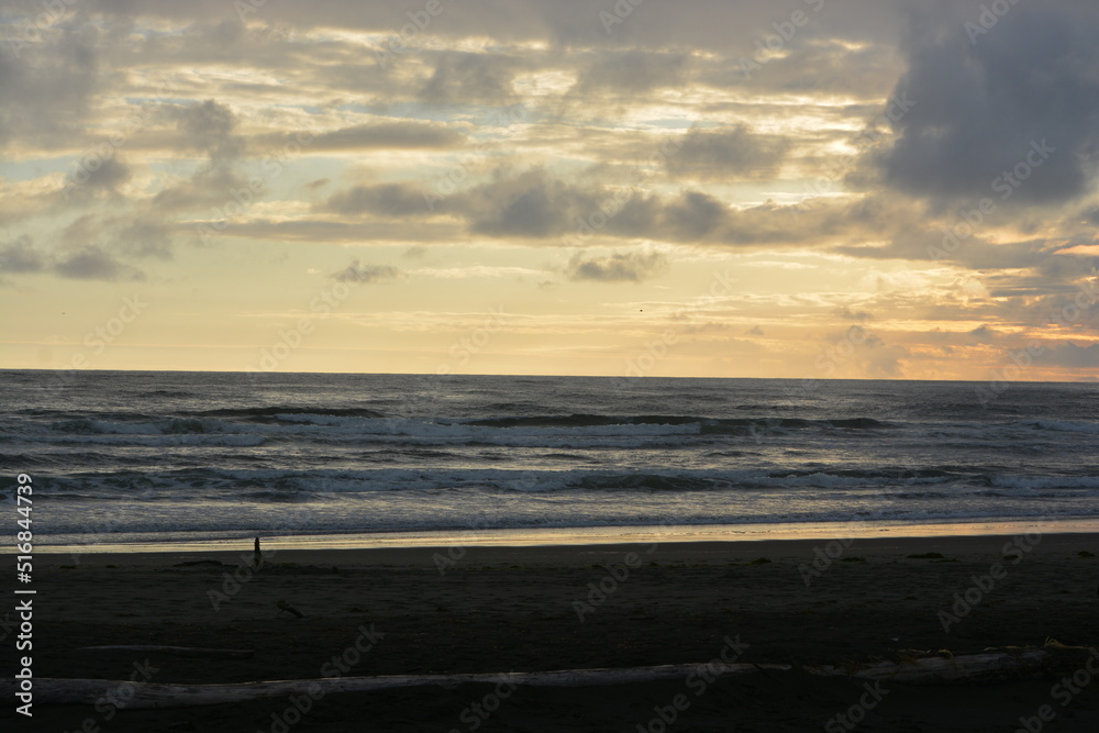 Ocean Shores Washington 7225