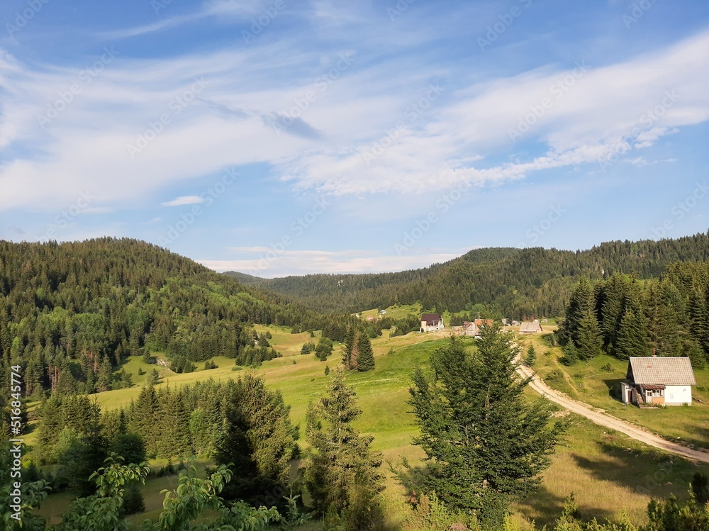 Landscape of village Pavlovac and mountain Jahorina, Bosnia and Herzegovina