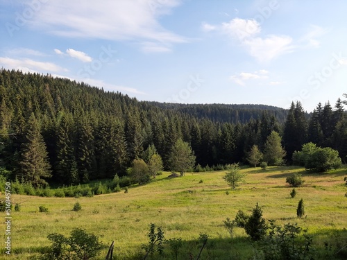 Landscape of village Pavlovac and mountain Jahorina, Bosnia and Herzegovina