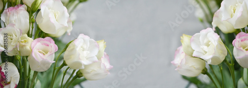 Horizontal postcard invitation blank with place for text. Pink and white cream eustoma flowers on fade gray background