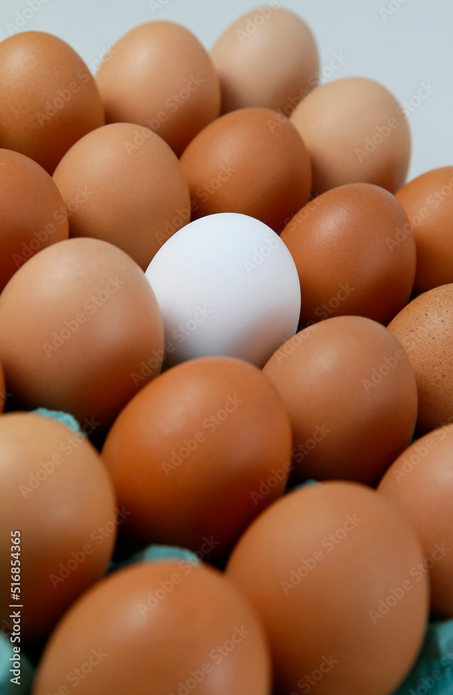 Single white egg among brown eggs