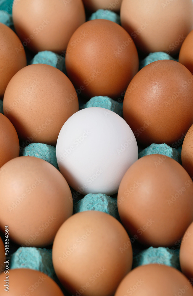 Single white egg among brown eggs