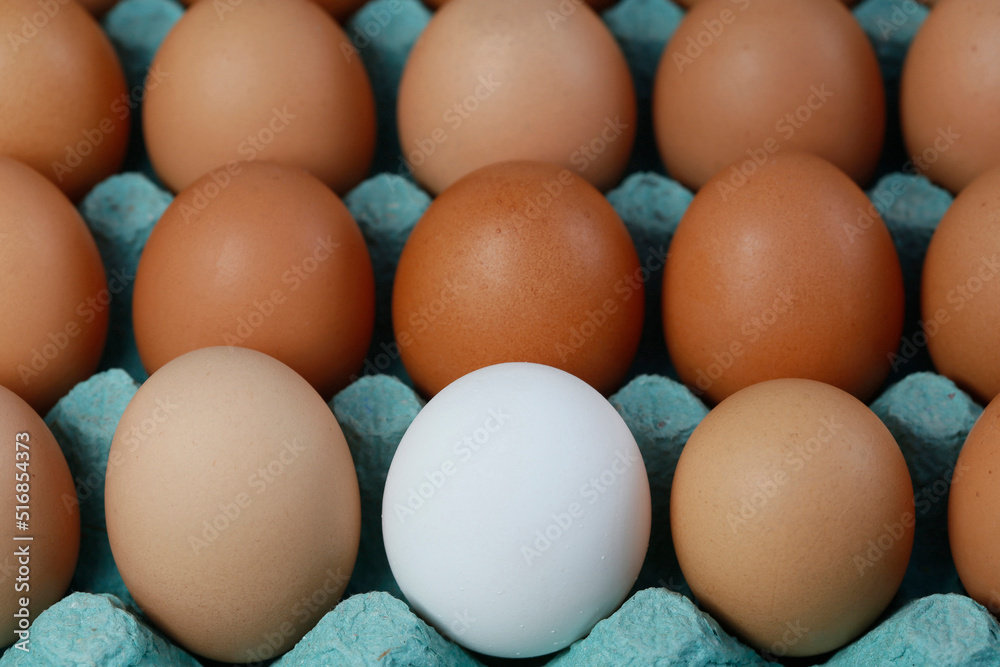 Single white egg among brown eggs