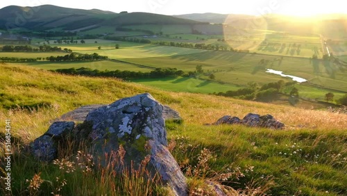 Slow Motion Grasses During A Golden Sunset Over A Beautiful Rural Valley In Ireland