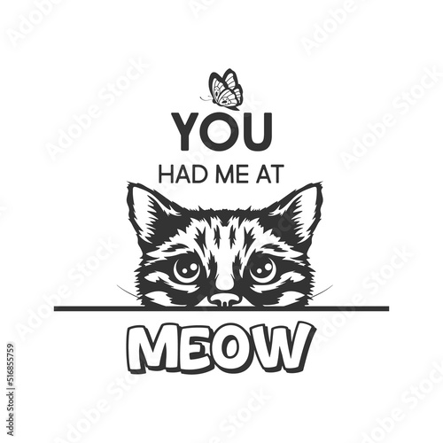 You Had Me At Meow. Vector Poster with Cat Quote and Monochrome Hand Drawn Black and White Hiding Peeking Cute Kitten. Funny Kitten is Peeking and Looking at the Butterfly