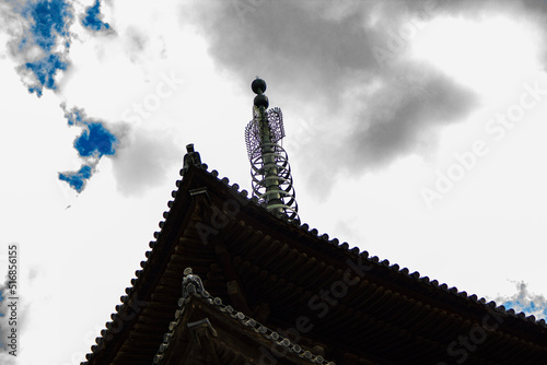 traditional temple roof and sorin tower photo