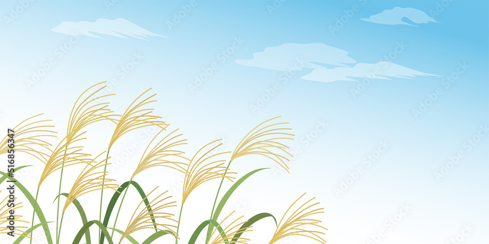 Obraz premium ススキと青空の風景_背景（2：1）_ベクターイラスト