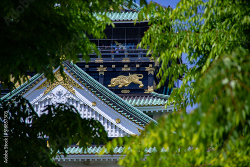 Osaka castle through leaves