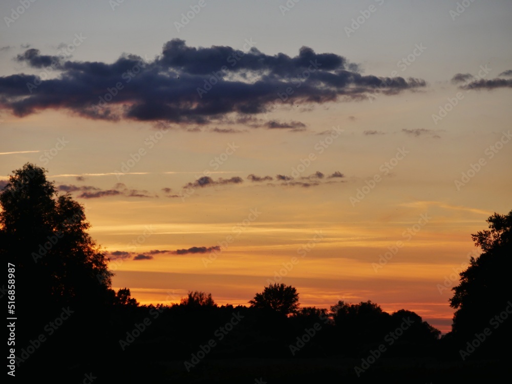 Fototapeta premium Sonnenuntergang über den Elbtalauen 