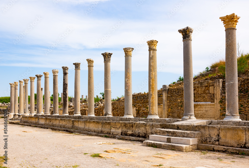 Picturesque landscape overlooking the streets with marble columns and antique statues of the ancient city of Perge, currently ..located near Antalya, Turkey