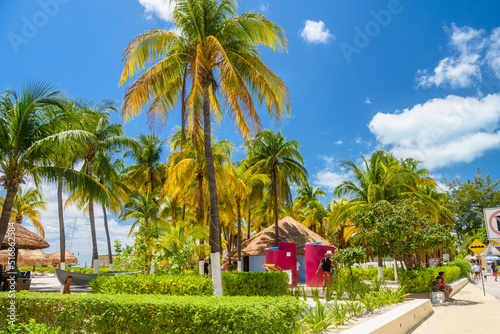 Bungalows in the shadow of cocos palms on the beach, Isla Mujeres island, Caribbean Sea, Cancun, Yucatan, Mexico