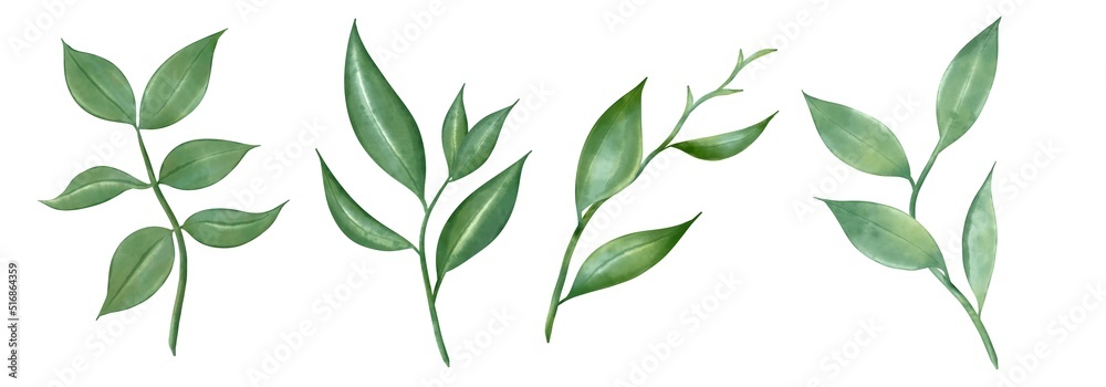Set of greenery leaves twig branch plant spring object flora in watercolor style. botanical decorative illustration for wedding invitation card Set of greenery leaves twig branch plant spring object flora in watercolor style. botanical decorative illustration for wedding invitation card