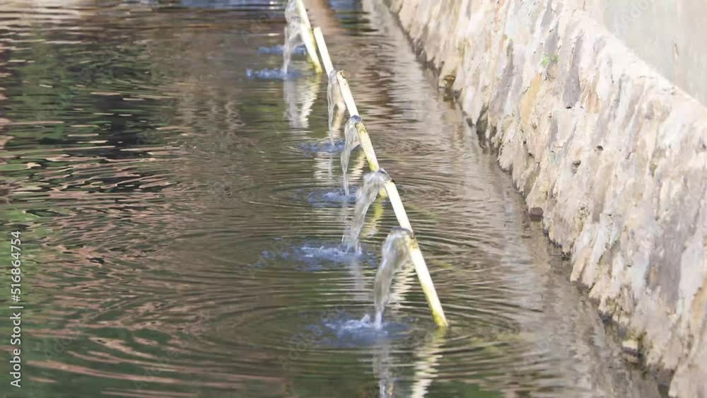 this picture shows the Aquaculture pond, there is a gravity aerator