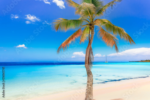 Fototapeta Naklejka Na Ścianę i Meble -  Turquoise beach in Saona Island, Punta Cana, Dominican