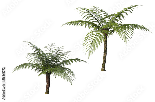 Tropical plants on a white background © jomphon