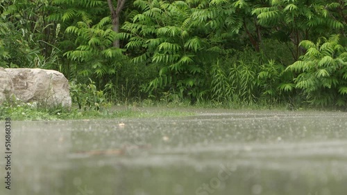 Rain falling lightly on pavement in park