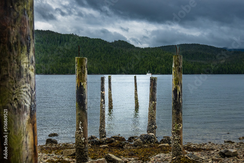 A decaying pier on McLoughlin Bay outside the town of Bella Bella on British Columbia's Central Coast. photo