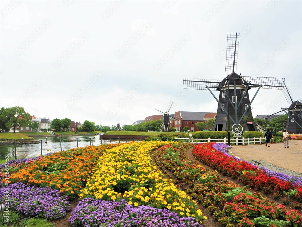 the cityscape of flowers and windmill