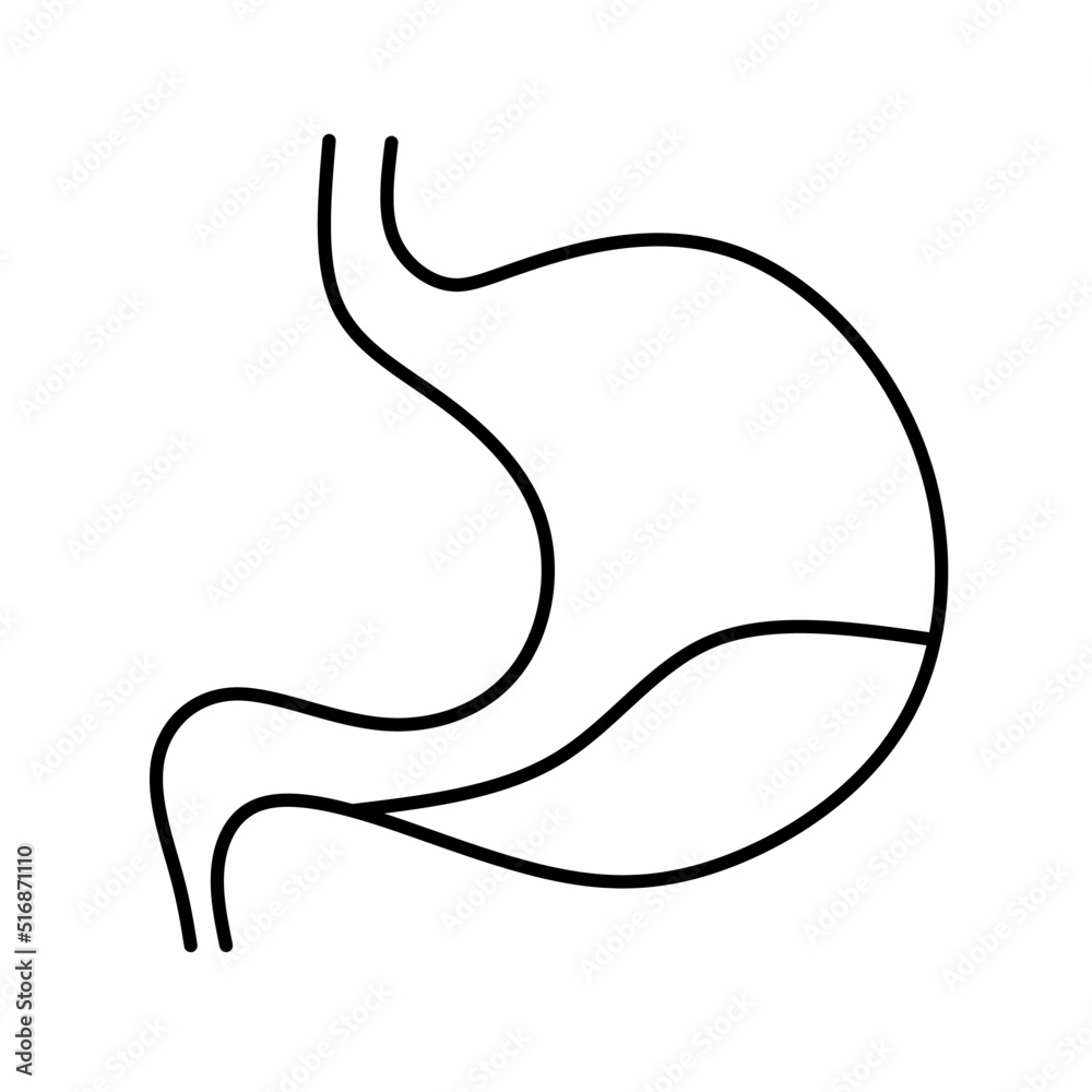 Fototapeta premium Vector illustration of digestive tract anatomy line icon. Pictogram infographic of the digestive organ of the stomach. Gastronomic and gastrologic symbol. Health care and medical concept.