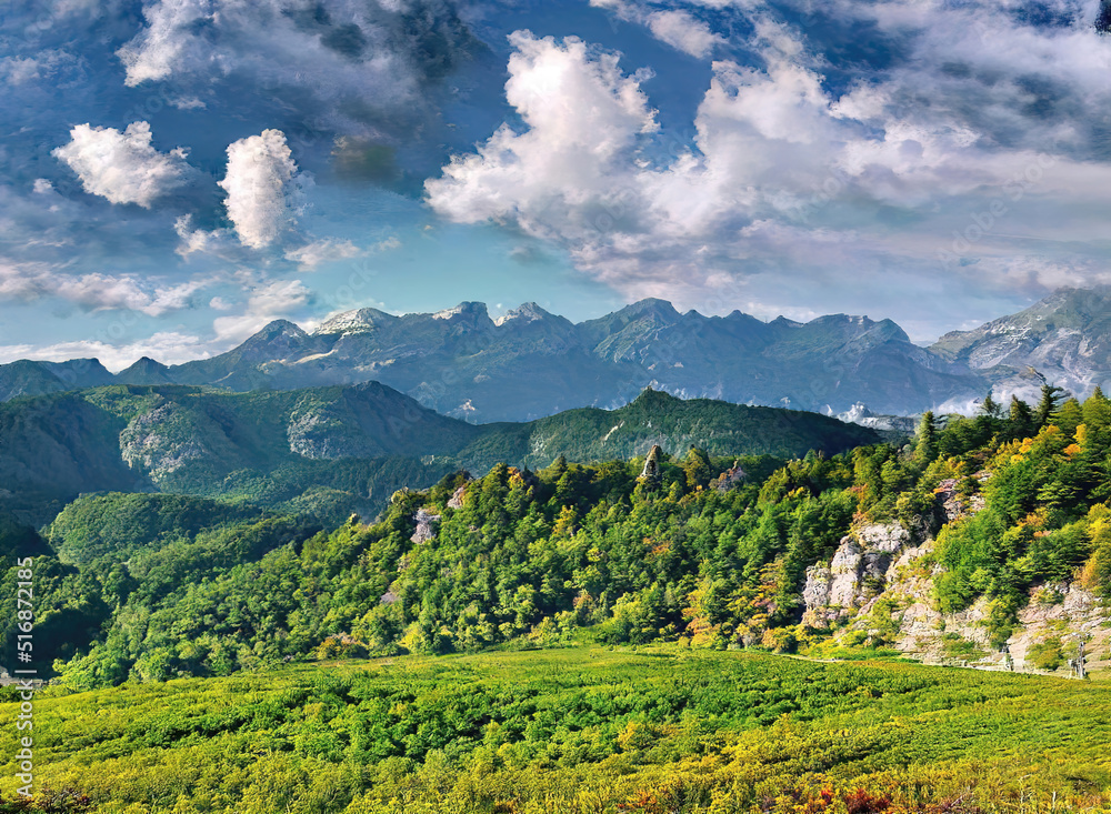 Fototapeta premium mountains among many trees