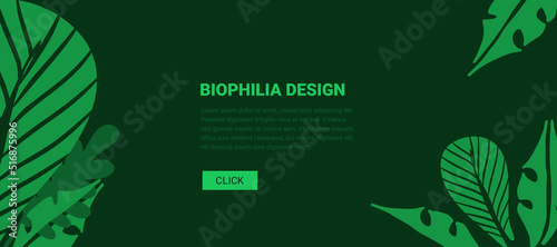 Green background with tropical leafes. Biophilic design - Banner for web. Biophilia concept in hand drawn style