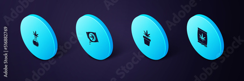Set Isometric Marijuana or cannabis seeds, plant in pot, and Test tube with marijuana icon. Vector