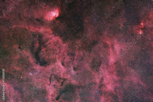 Surroundings of Tulip Nebula (Sh2-101) 