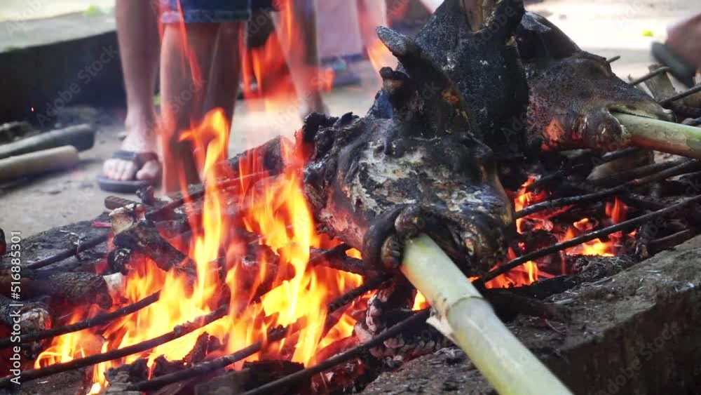 Goat's head is burnt on a stove full of fire. Goat head processing in the traditional way Goat's head is burnt on a stove full of fire. Goat head processing in the traditional way