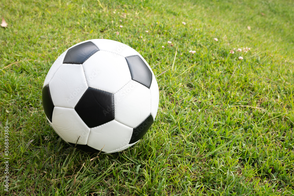 soccer ball on grass