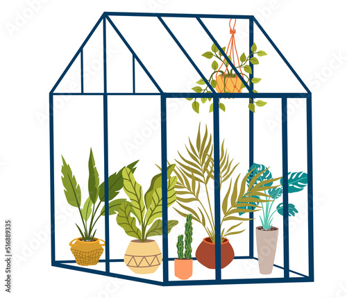 Greenhouse with flowers. Glass orangery, botanical garden green house, flowers and potted plants home gardening. Plants hanging on ropes, growing greenery in pots. Vector cartoon illustration isolate