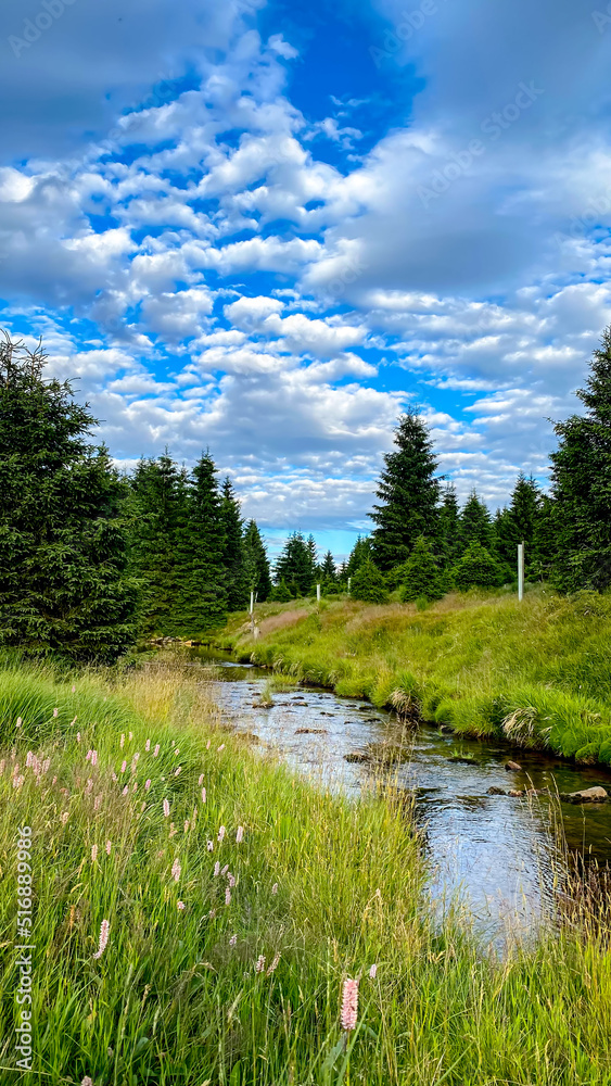 Obraz premium Mountain stream in the Hamlet Jizerka, Jizera Mountains, Czech Republic