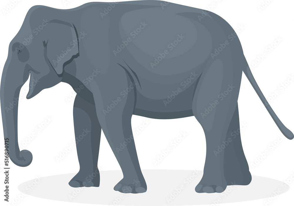 Elephant walking illustration, Big animals, Elephant walking illustration, Big animals,