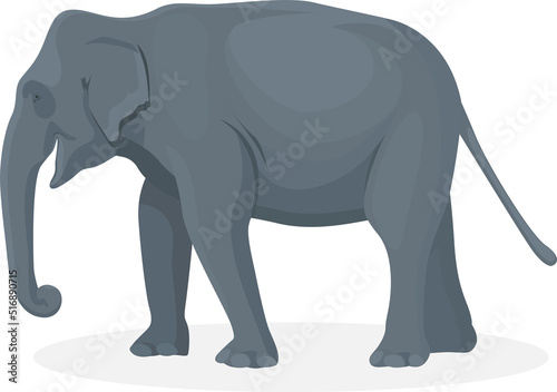 Elephant walking illustration, Big animals,