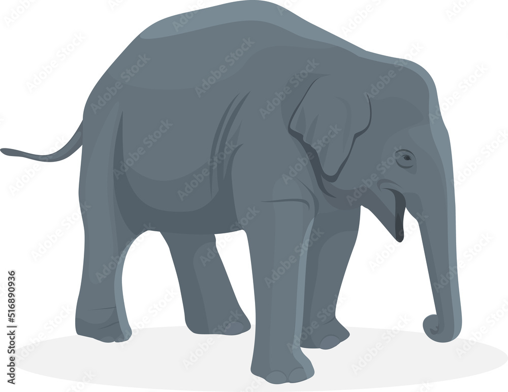 Excited baby elephant illustration, Big animals,