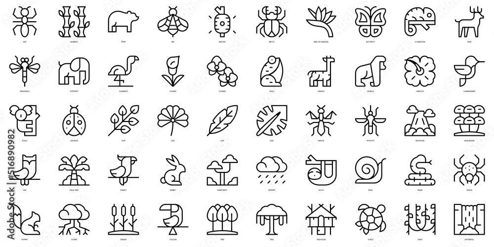 Set of thin line rainforest Icons. Vector illustration