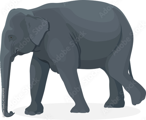 Elephant walking illustration  Big animals 