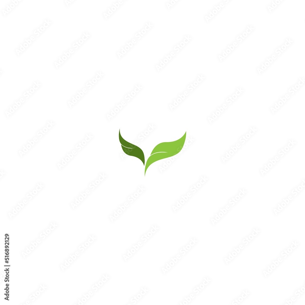 leaf icon vector illustration design