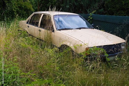 abandoned old car in high weeds
