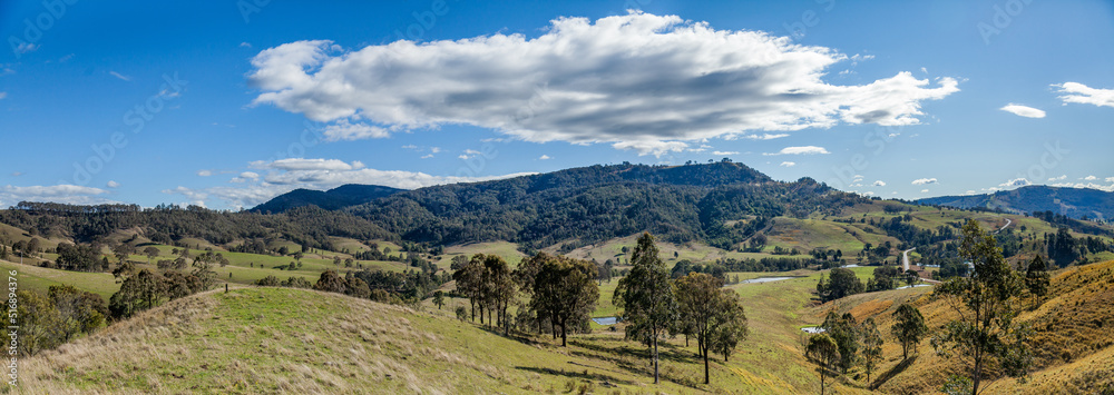 Panorama landscape of rolling hills and valleys with gum trees scattered through paddocks Panorama landscape of rolling hills and valleys with gum trees scattered through paddocks