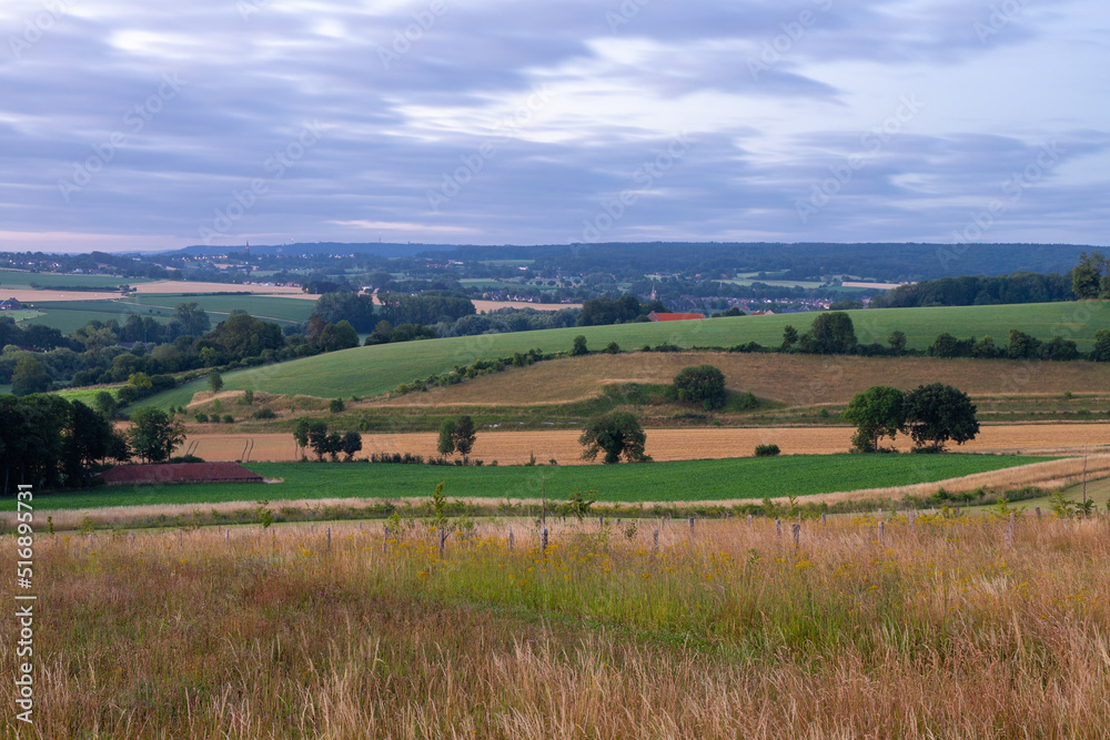 Spectacular sunrise in the rolling hill landscape in the south of Limburg with a view on the meadows and on a row of poplar trees, creating the feeling of being in the Siena Province of Italy.