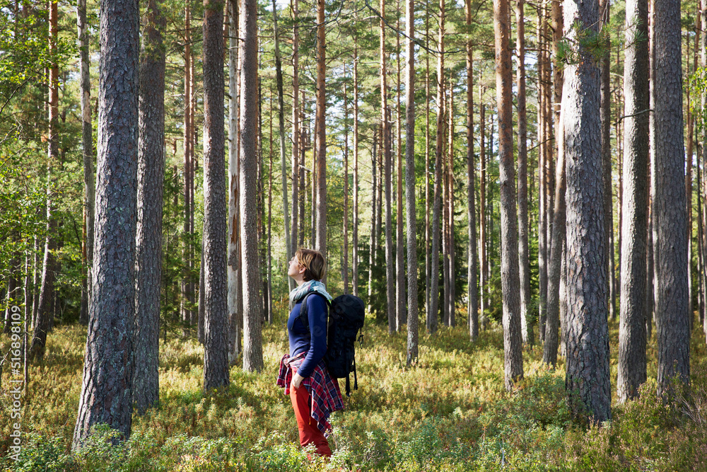 Woman hiking in the forest Woman hiking in the forest