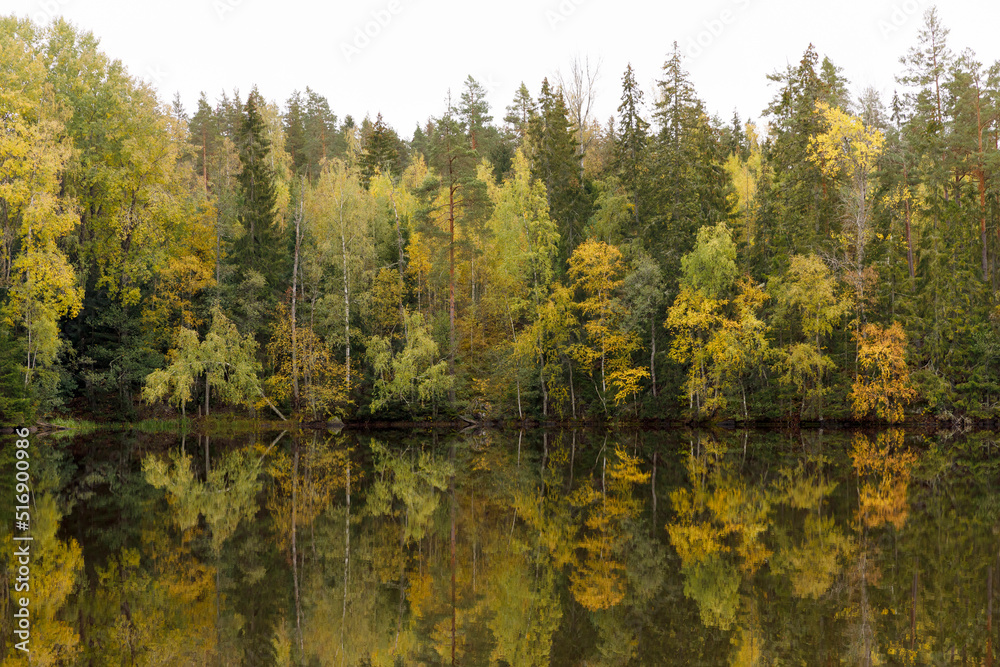 Autumn trees by reflective lake Autumn trees by reflective lake