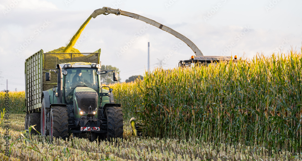 Traktor und Maishäcksler während der Maisernte