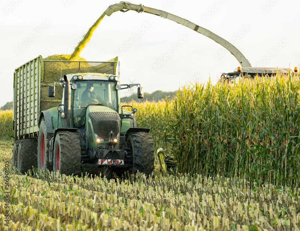 Traktor und Maishäcksler während der Maisernte