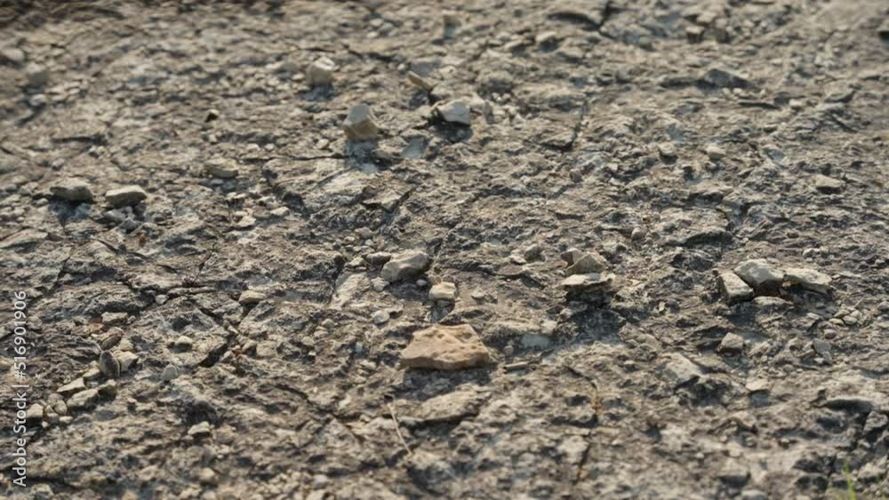 Signs of drought and rocky terrain. Signs of drought and rocky terrain.