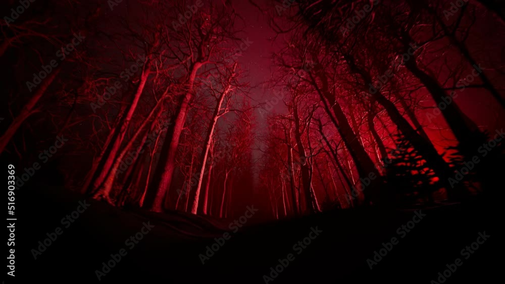 Forest alley in dense fog. Bare trees during winter. Dark red moody landscape.