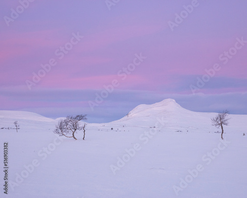 Snow covered landscape at sunset in Rogen Nature Reserve Sweden photo