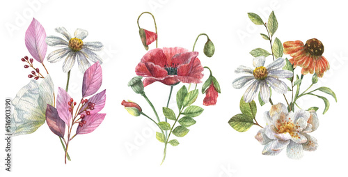 Delicate sets of wild flowers of chamomile, poppies, viola with field greens. Floral, watercolor illustration isolated on white background.
