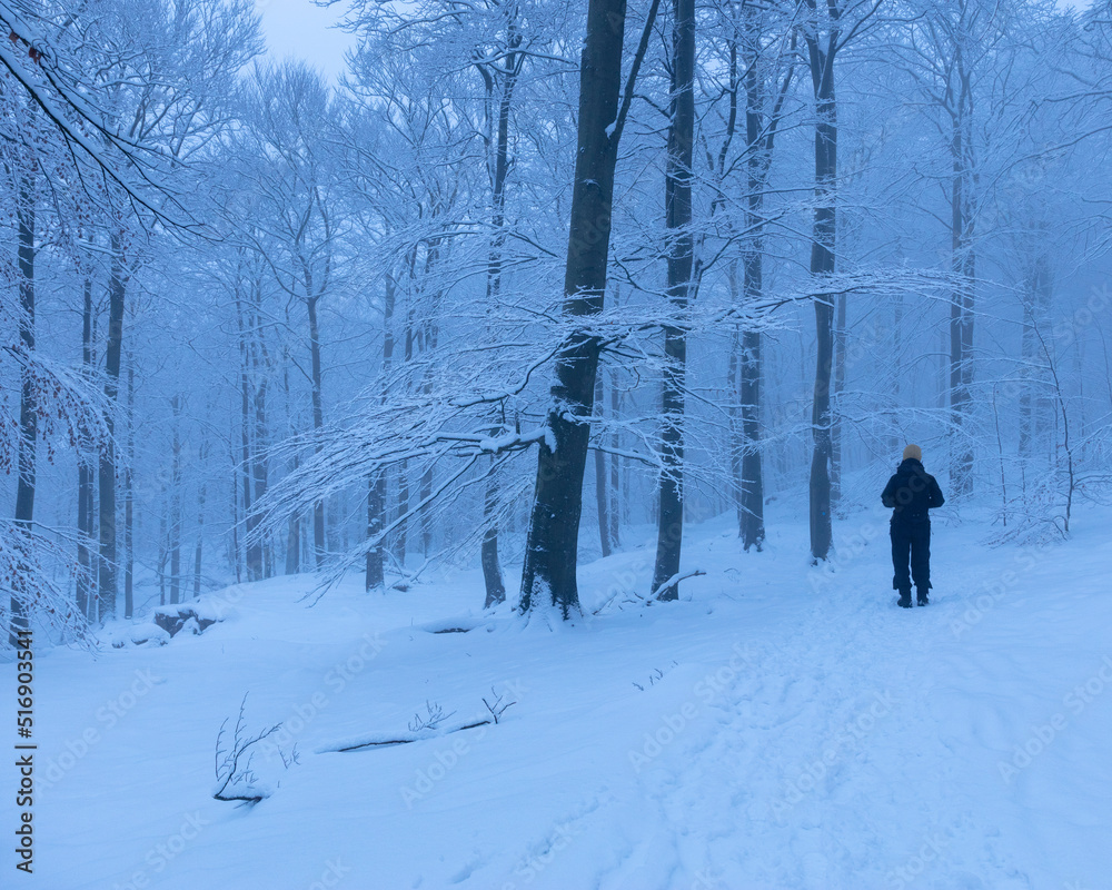 Woman in snow covered forest in Soderasen National Park Sweden Woman in snow covered forest in Soderasen National Park Sweden